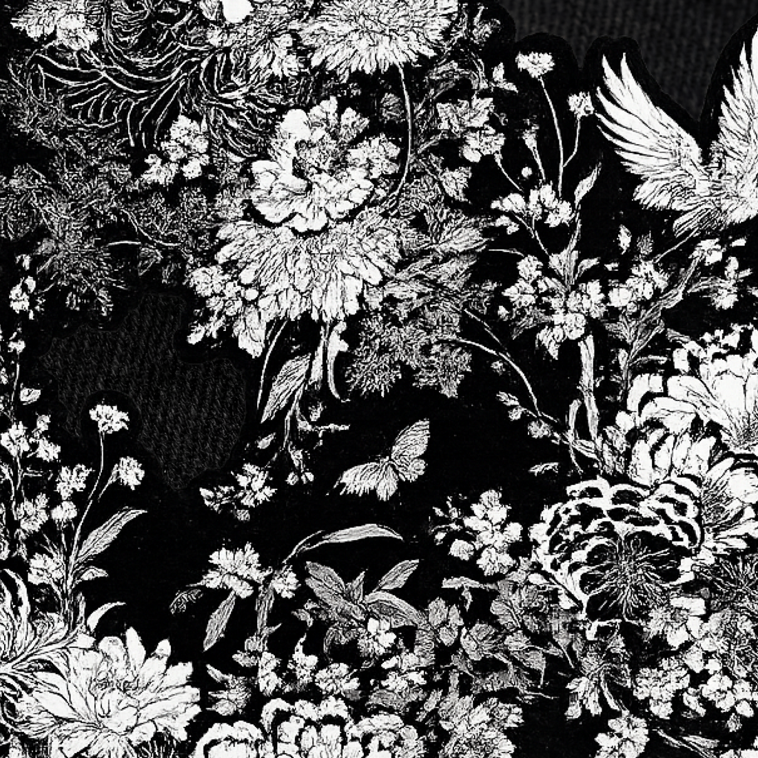 Blacklist Classic Bloom Embroidered Denim – Limited Edition