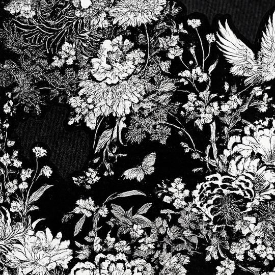 Blacklist Classic Bloom Embroidered Denim – Limited Edition